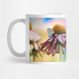 Echinacea Purpurea with Small Butterfly Mug